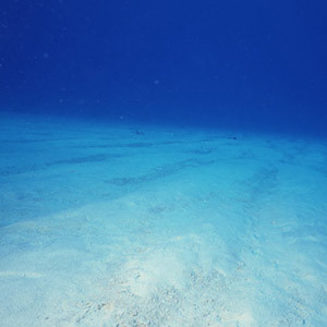 日本海の海底には採掘しやすいメタンハイドレートが！？